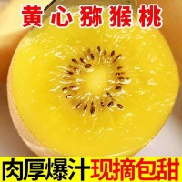 黃心獼猴桃新鮮包郵四川蒲江奇異果正宗時令鮮果水果當季整箱大果